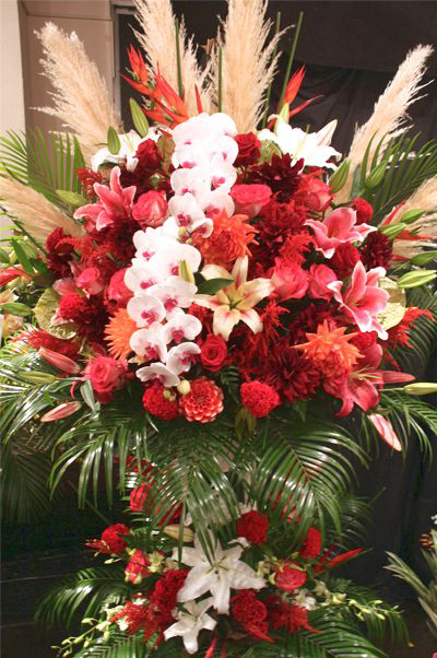 �X�^���h�� ��c��